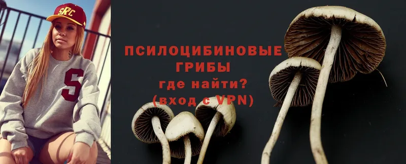 Галлюциногенные грибы Cubensis  Верхняя Тура 